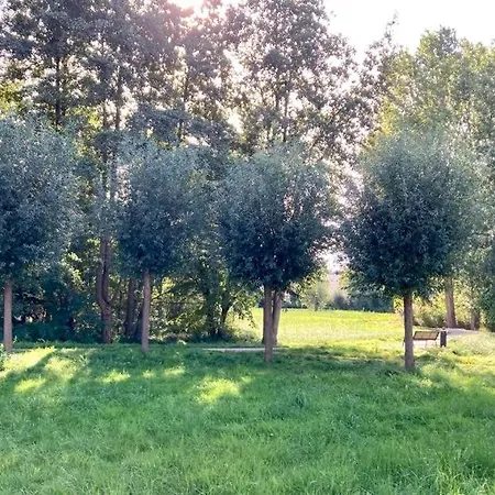 Moderner Im Seebad Bansin, 200 Meter Zum *