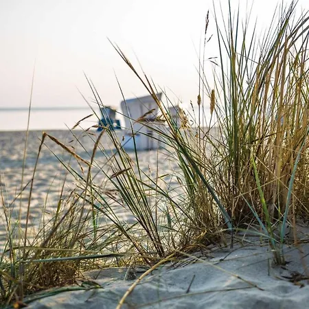 Moderner Im Seebad Bansin, 200 Meter Zum Heringsdorf (Usedom)