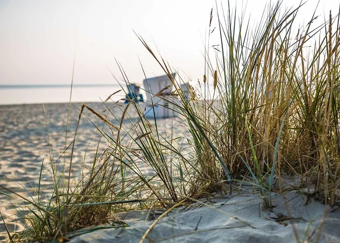 Moderner Im Seebad Bansin, 200 Meter Zum Heringsdorf (Usedom)